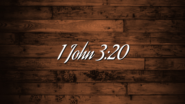 1 John 3:20