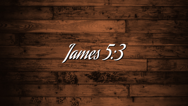 James 5:3