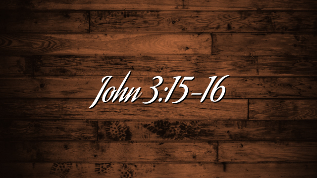 John 3:15-16