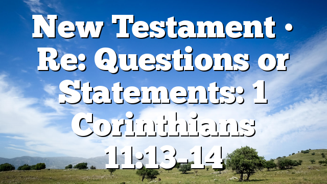 New Testament • Re: Questions or Statements: 1 Corinthians 11:13-14