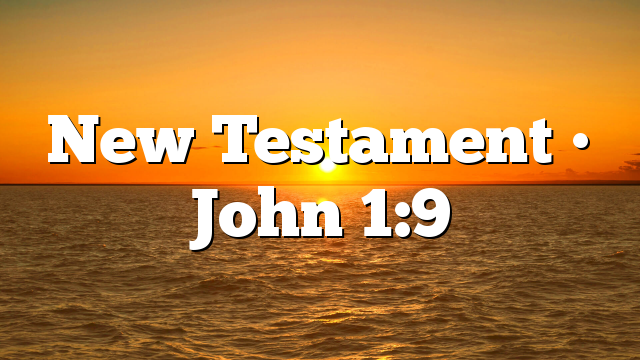 New Testament • John 1:9