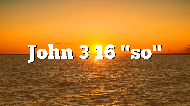 John 3 16 "so"