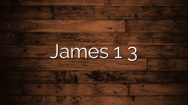 James 1 3
