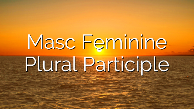 Masc Feminine Plural Participle