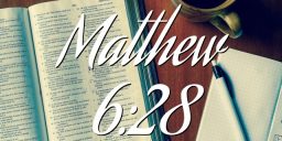 Matthew 6:28