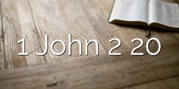 1 John 2 20