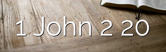 1 John 2 20