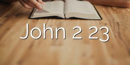 John 2 23
